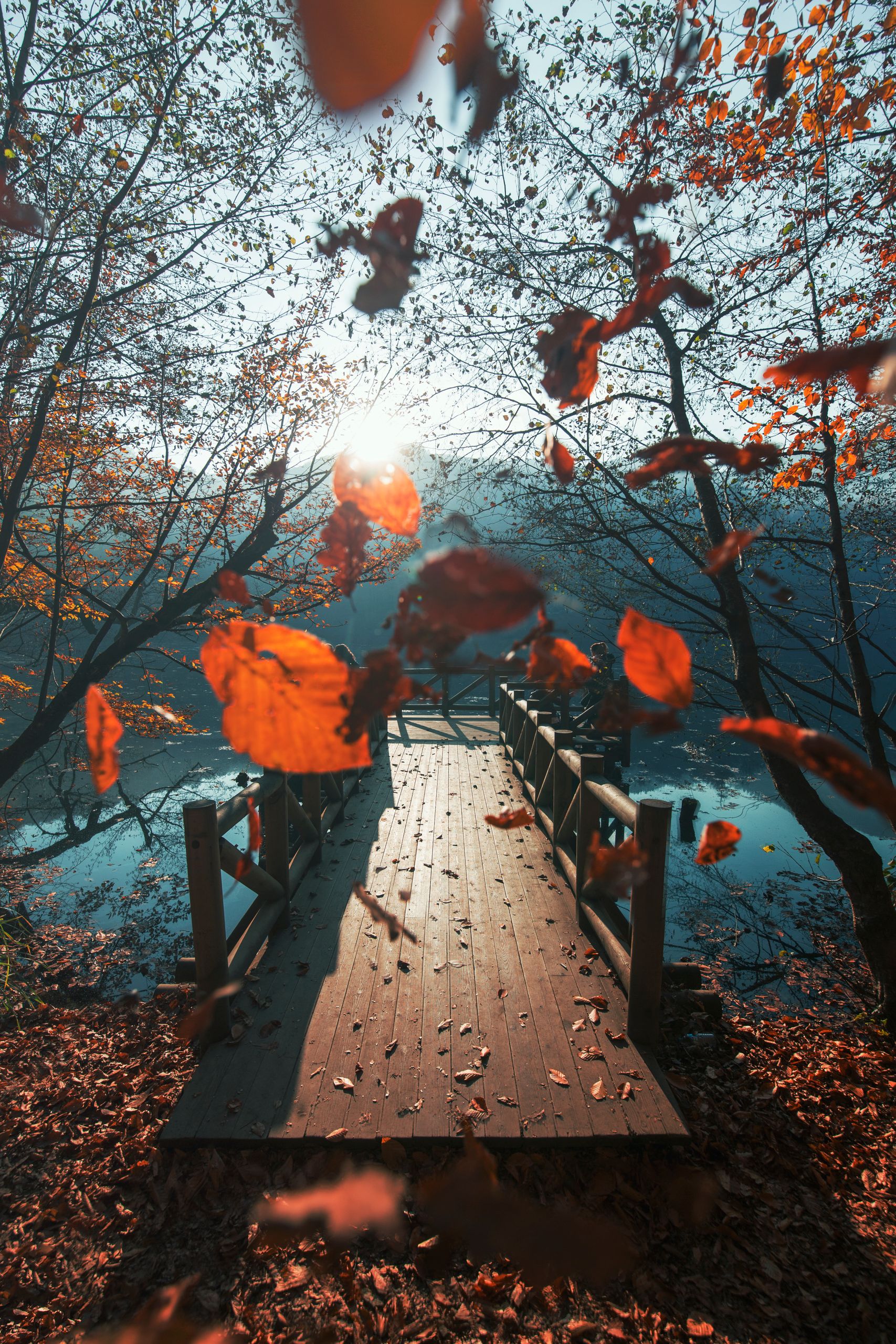 Serene autumn scene with leaves falling onto a wooden pier by the lake.